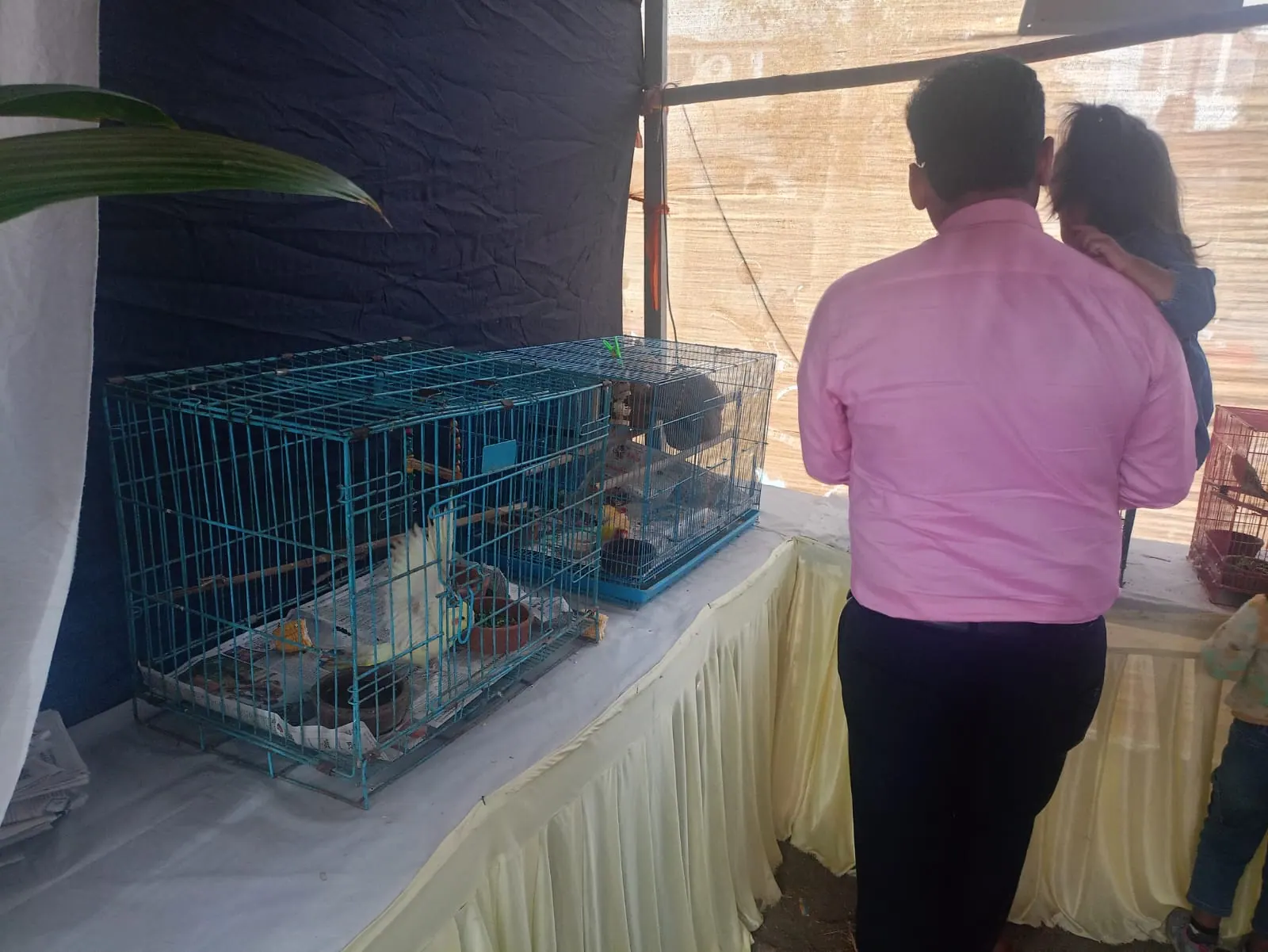 Jivdaya Animal Welfare Support - Photo 2