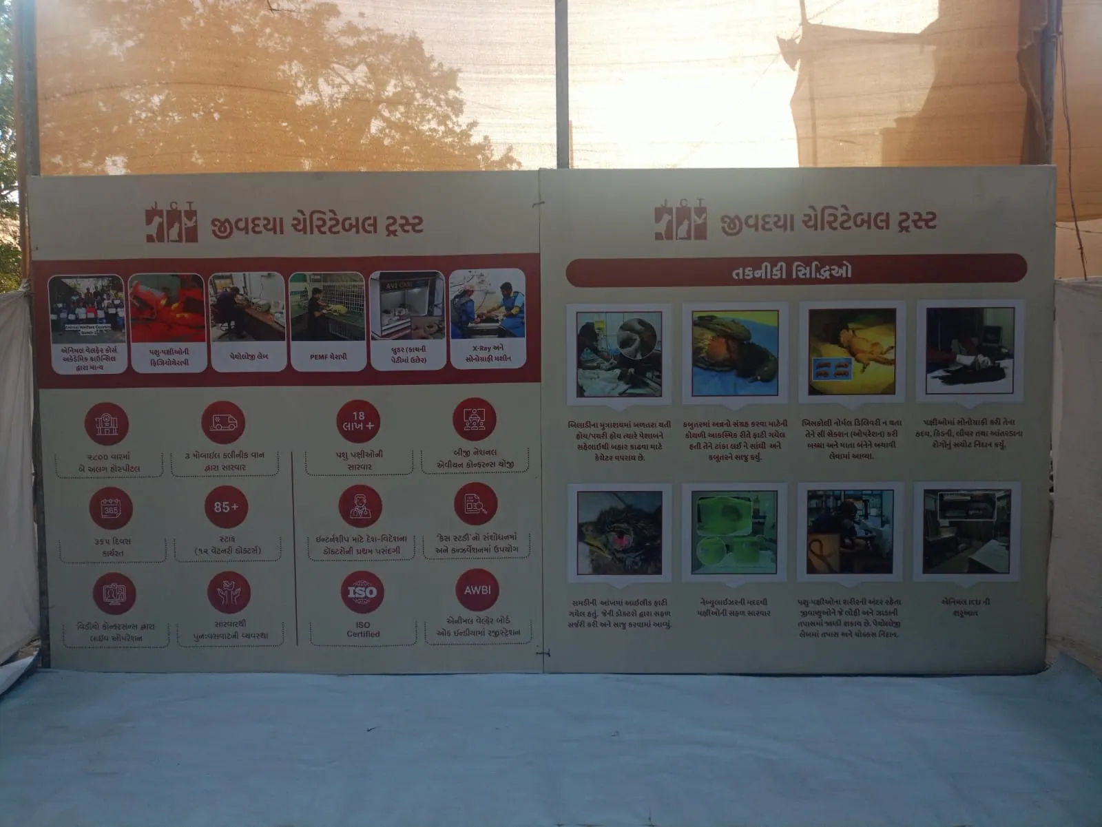Jivdaya Animal Welfare Support - Photo 3