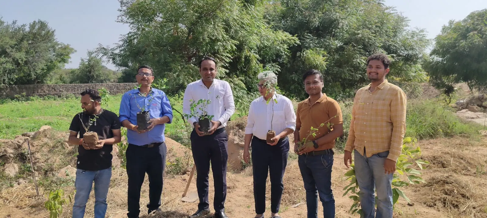 Tree Plantation Drive