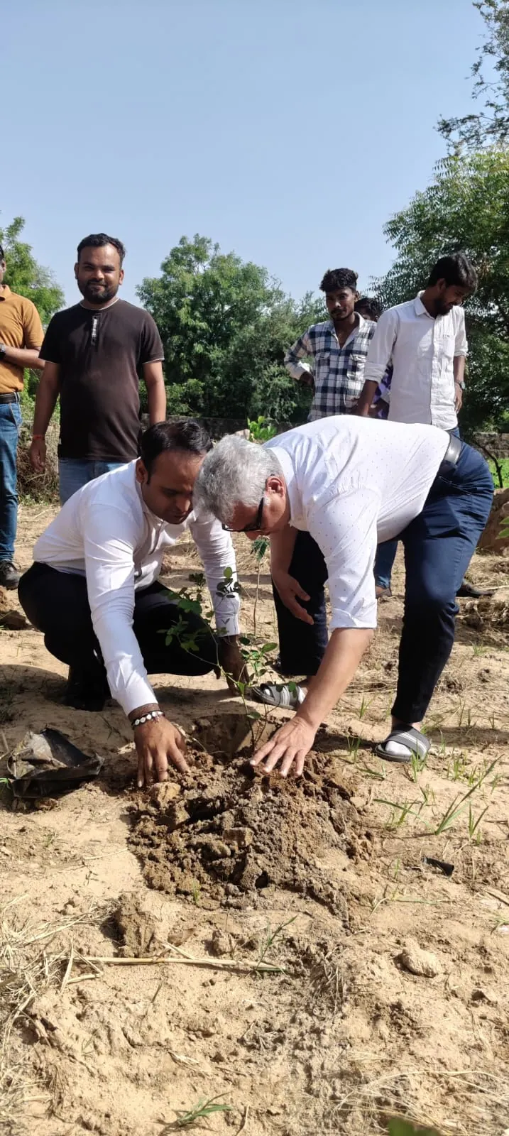 Tree Plantation Drive - Photo 2